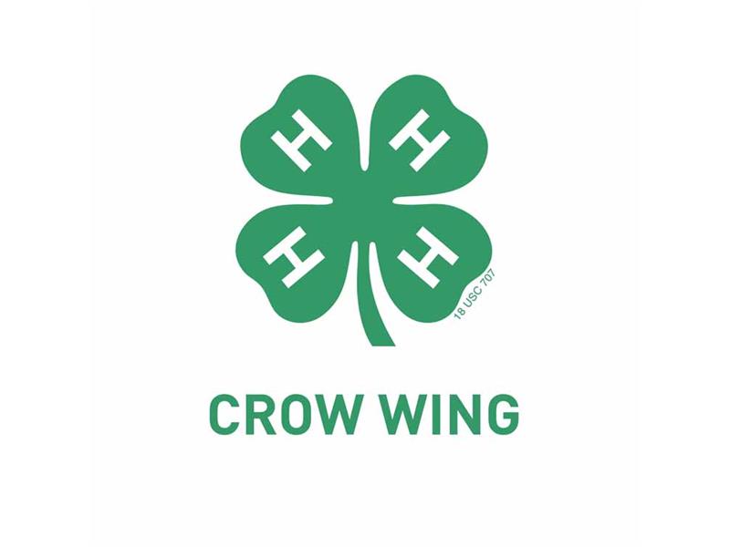 Logo for 2024 Crow Wing County Fair
