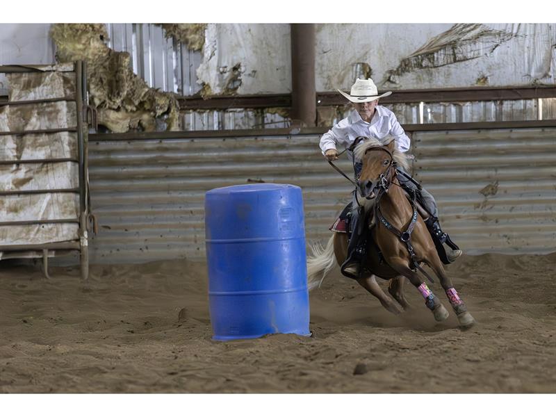 Logo for 2026 Lincoln County 4-H Horse Show
