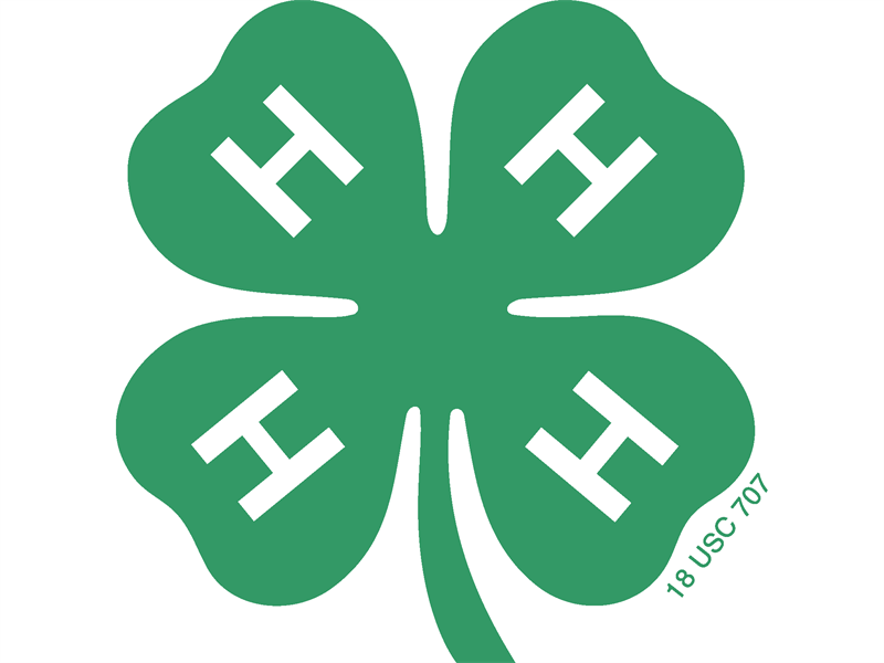 Logo for 2026 District 7 Horse Shows
